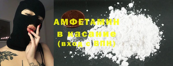 гидра Арсеньев