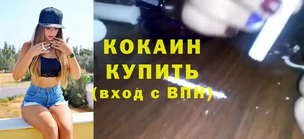 гидра Арсеньев