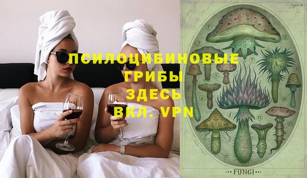 гидра Арсеньев