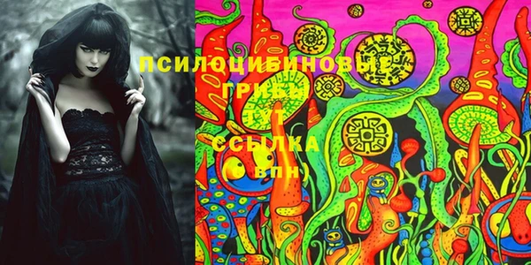 прущий лед Магас
