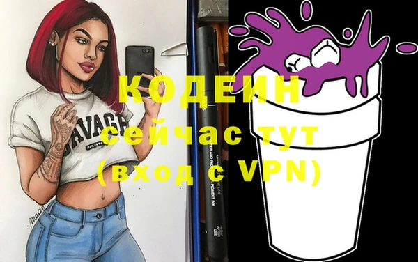 гидра Арсеньев